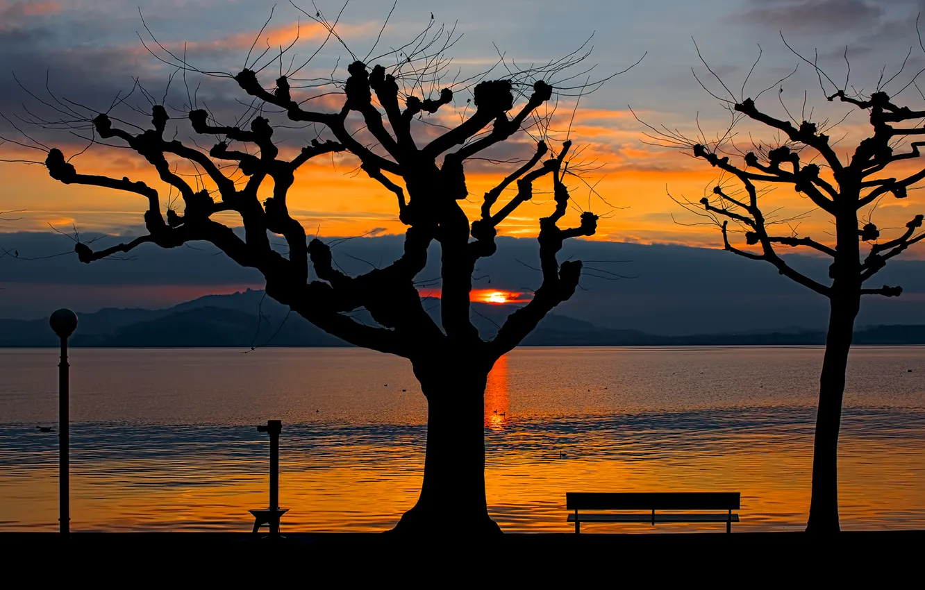 Photo wallpaper the sky, trees, sunset, mountains, lake, silhouette, bench