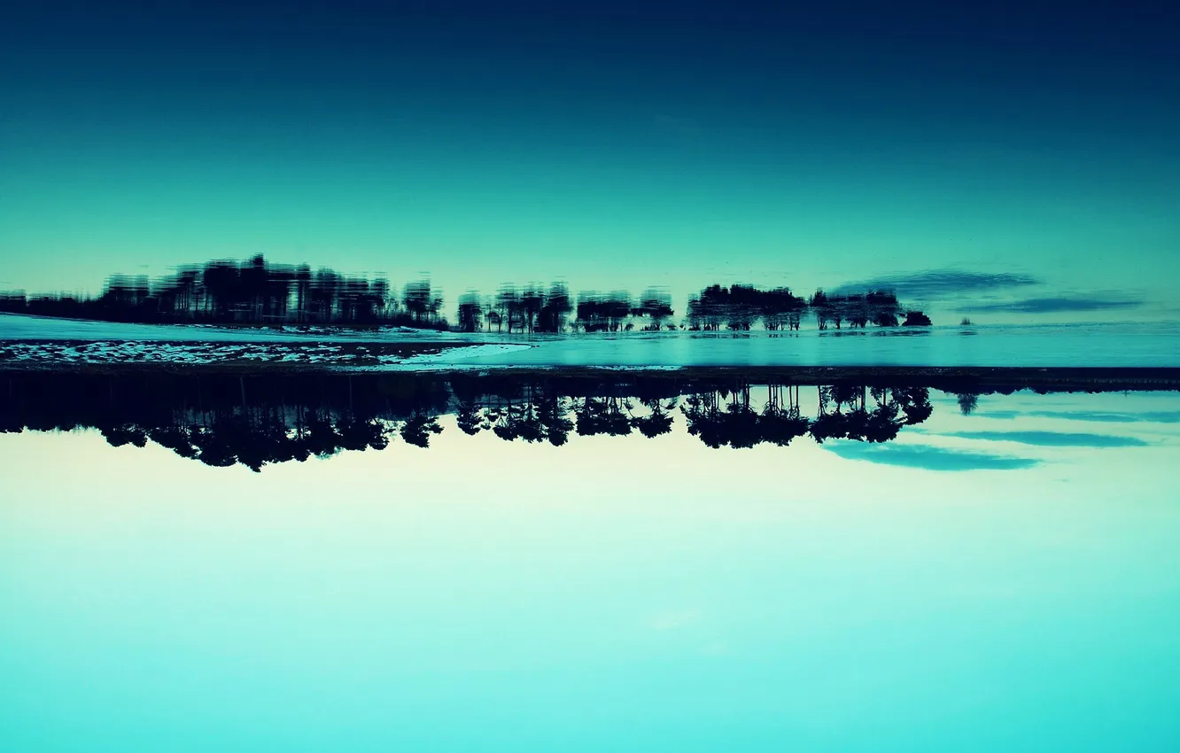 Photo wallpaper trees, blue, reflection