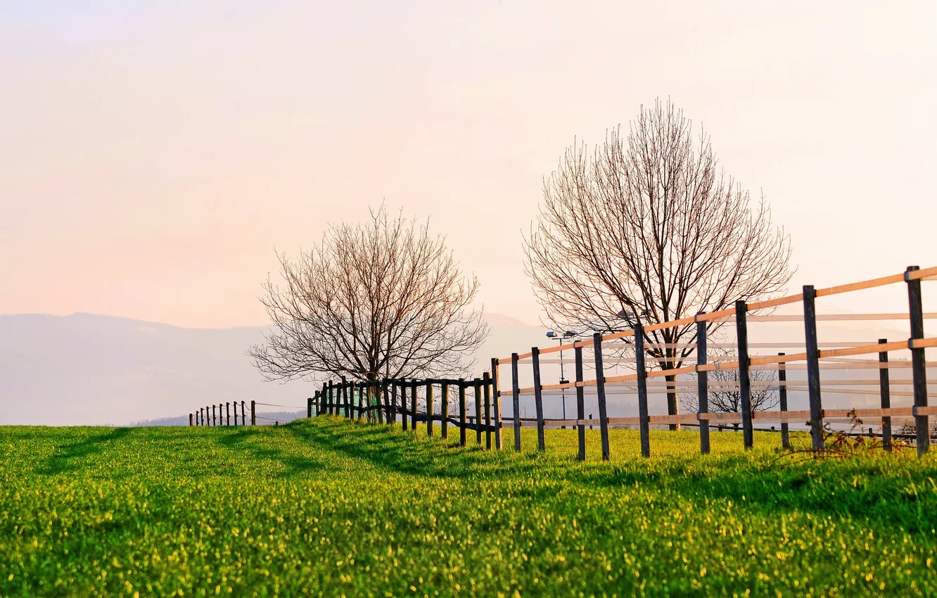 Photo wallpaper field, landscape, the fence