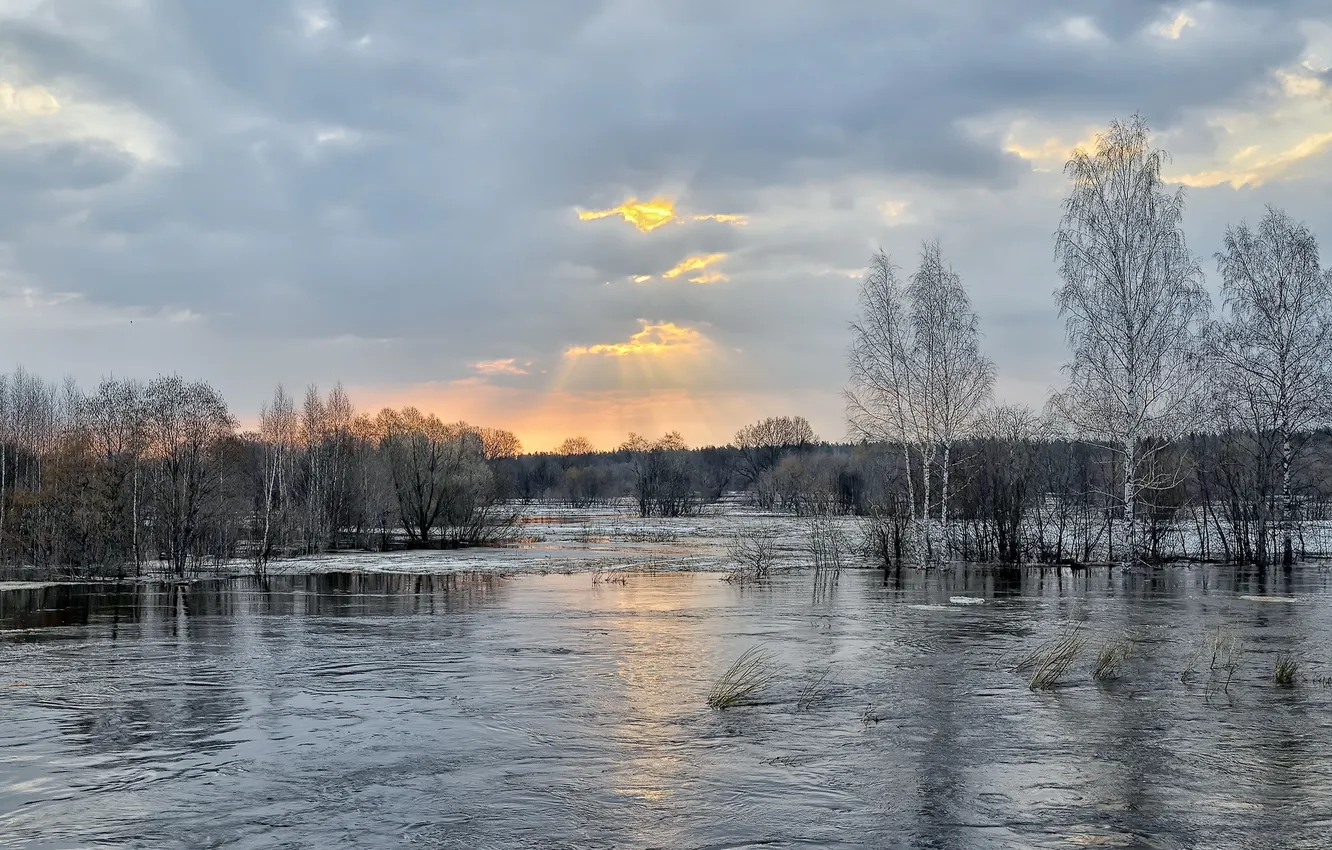 Photo wallpaper trees, landscape, nature, river