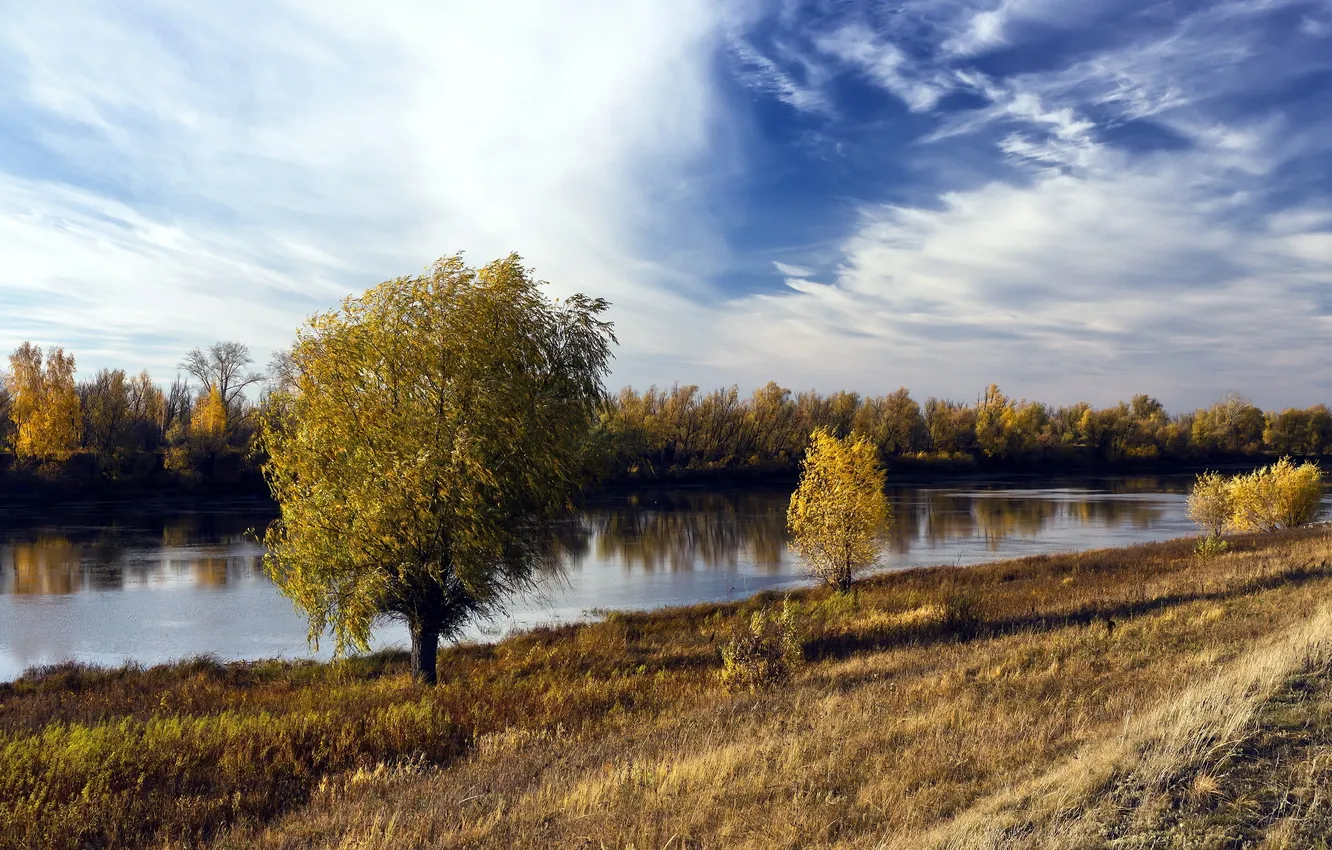 Photo wallpaper field, autumn, landscape, river