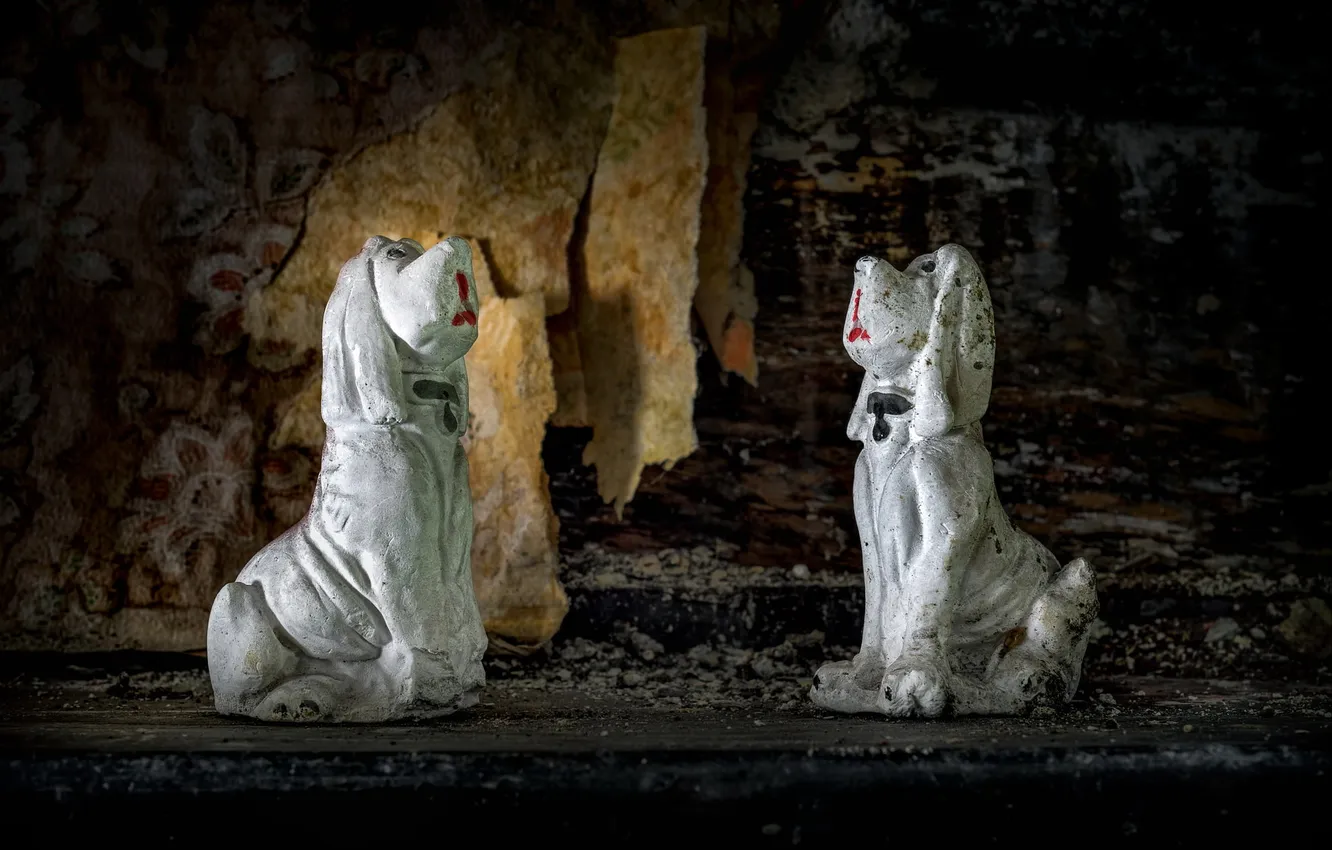 Photo wallpaper background, dog, figurine
