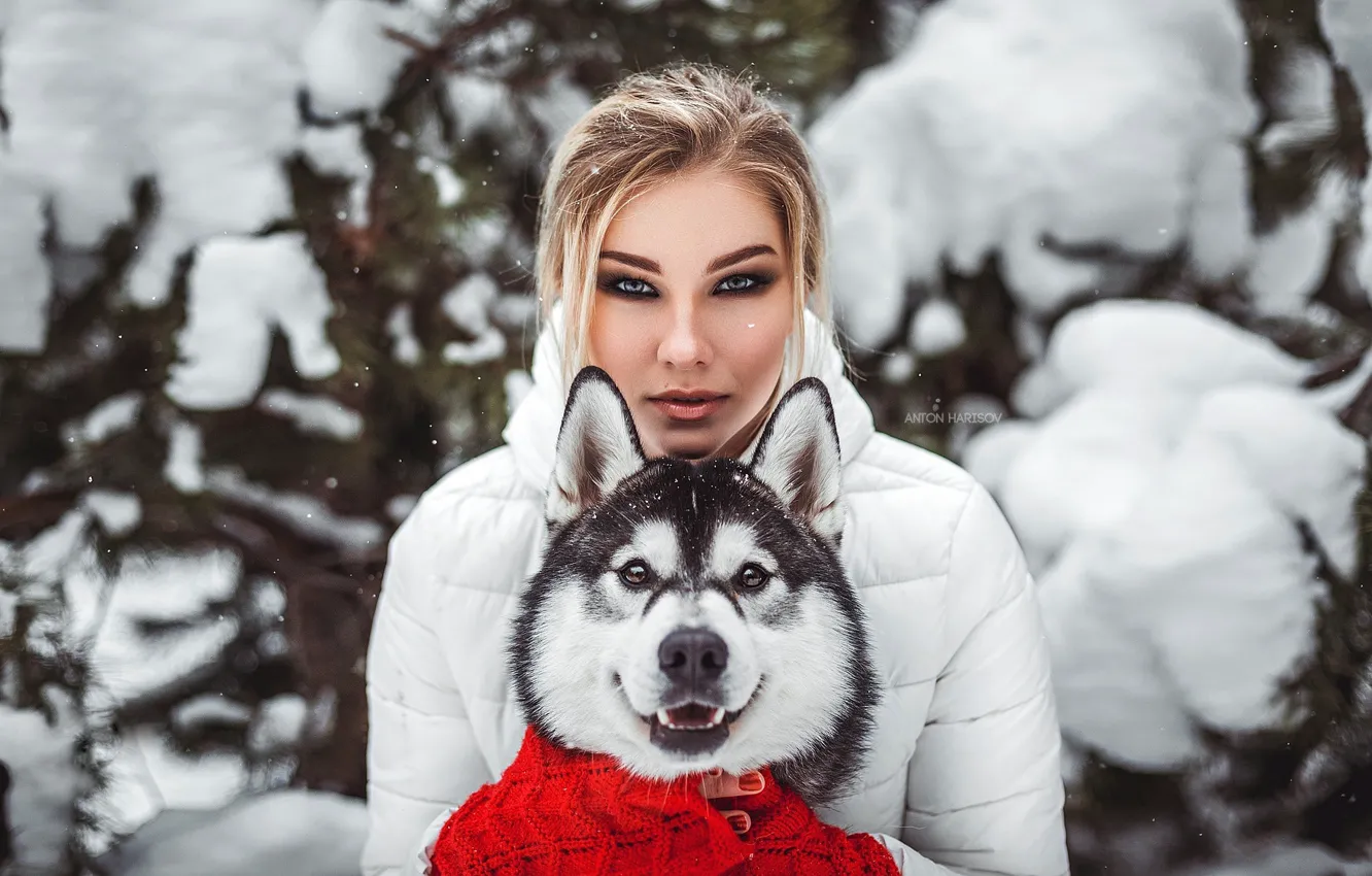Photo wallpaper winter, look, face, girl, snow, each, portrait, dog
