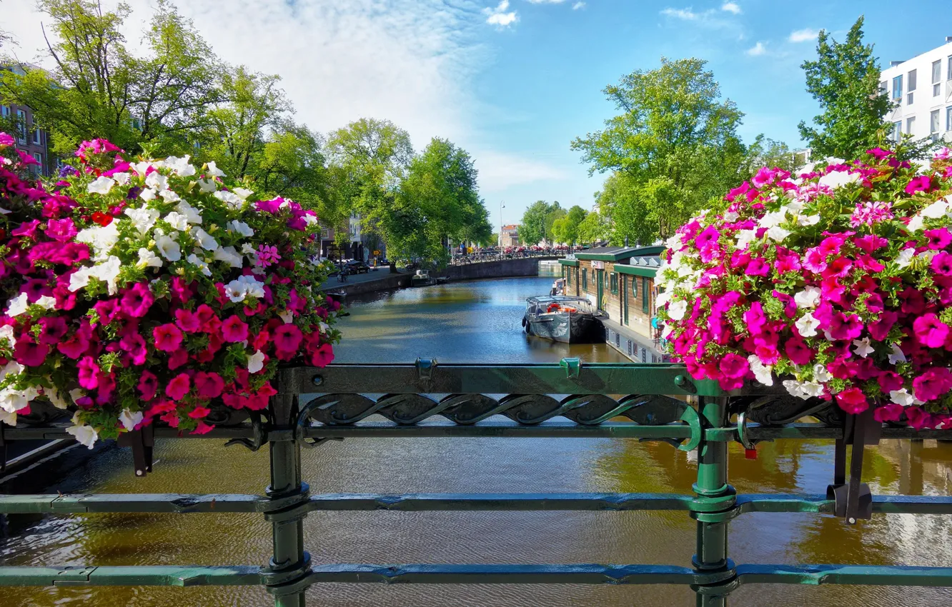 Photo wallpaper flowers, bridge, the city, Amsterdam, channel, Netherlands, Holland