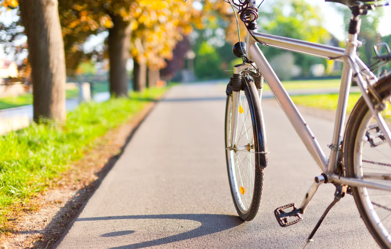 Photo wallpaper bike, the city, Park, alley