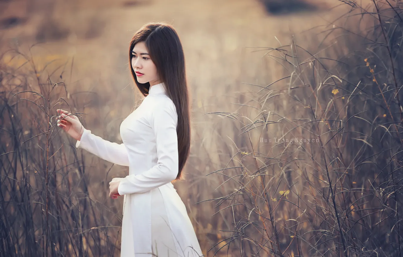 Photo wallpaper grass, the sun, pose, model, portrait, makeup, dress, hairstyle