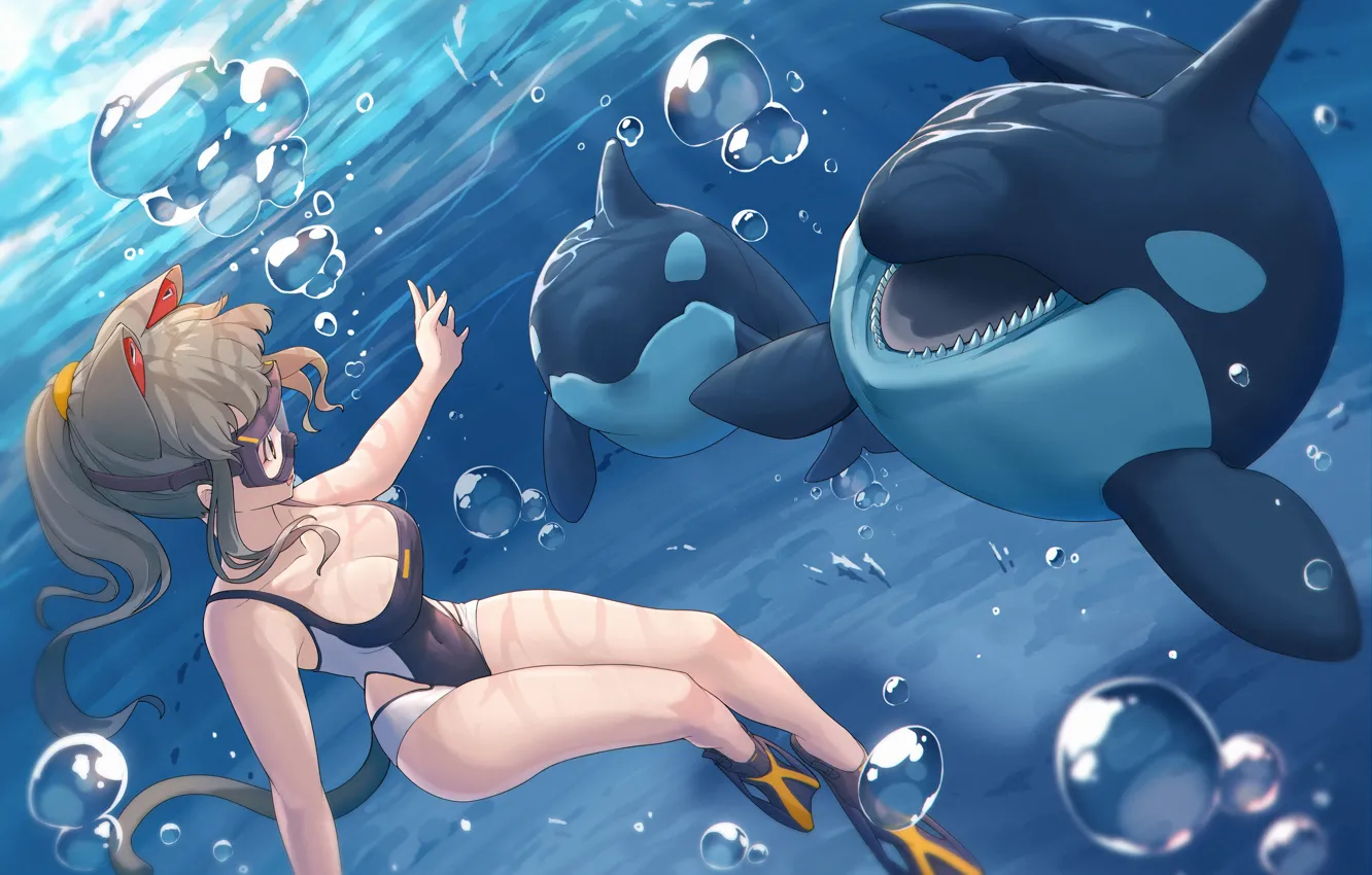 Photo wallpaper cat, girl, under water, orcas