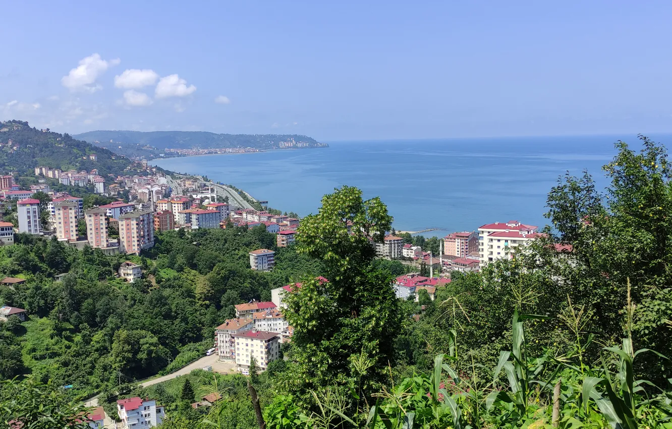 Photo wallpaper sea, tree, Turkey