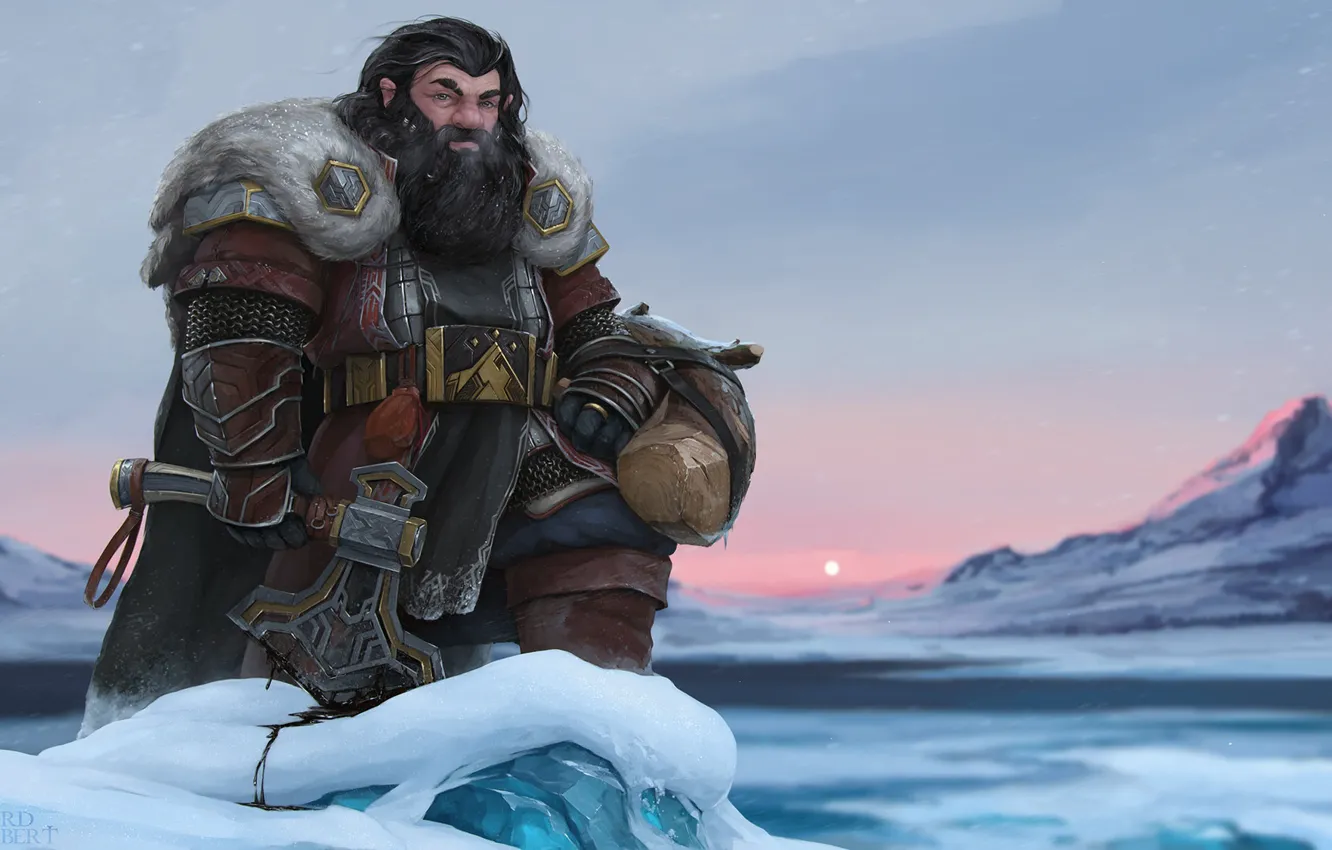 Photo wallpaper the Lord of the rings, fantasy, gnome, Thorin Oakenshield, ALMPs, Stanislav Novarenko