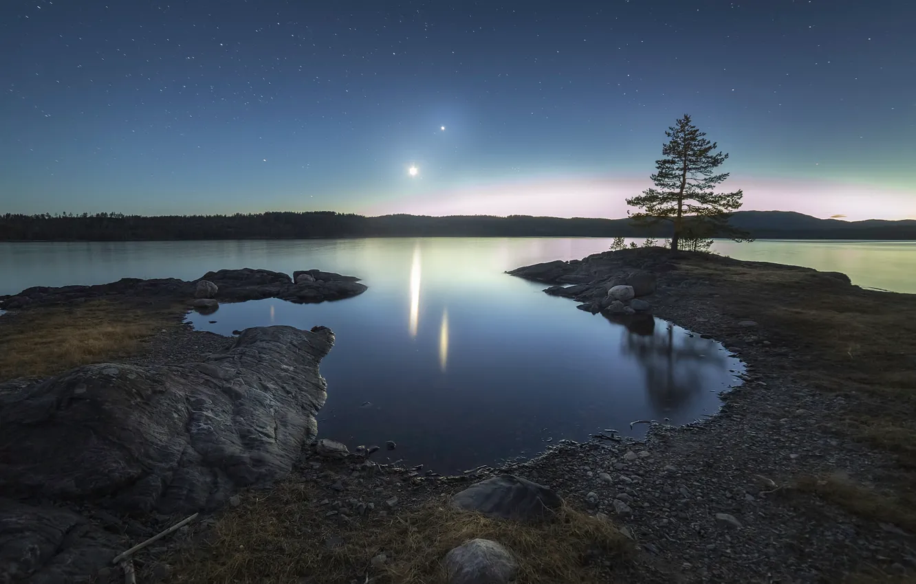 Photo wallpaper night, shore, spruce, pond