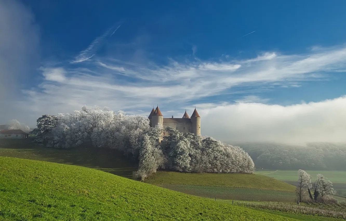 Photo wallpaper field, fog, castle