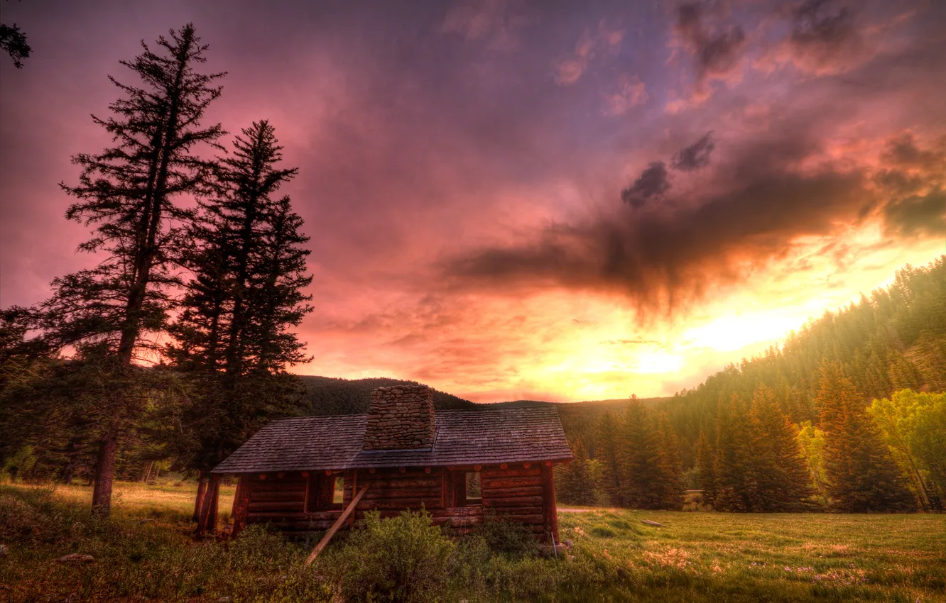 Photo wallpaper forest, the sky, trees, sunset, glade, home, treatment, glow