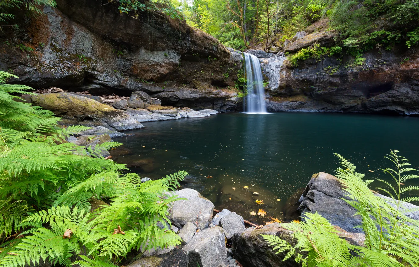 Photo wallpaper nature, lake, waterfall, USA, Oregon Coast, South Fork Coquille River