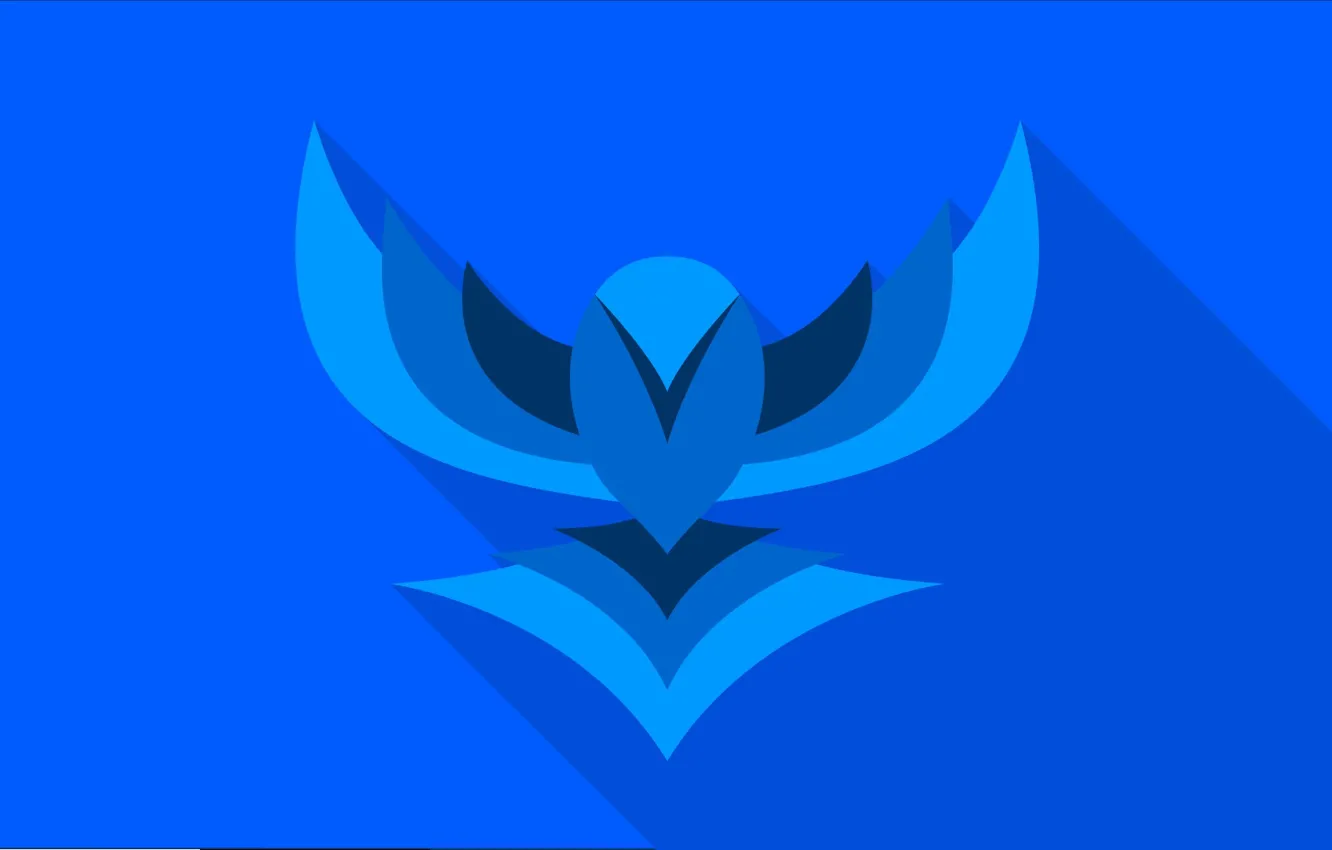 Photo wallpaper bird, wings, vector, bird, blue, flat