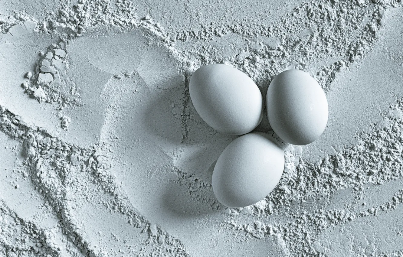 Photo wallpaper eggs, divorce, white background, shadows, white, trio, monochrome, composition