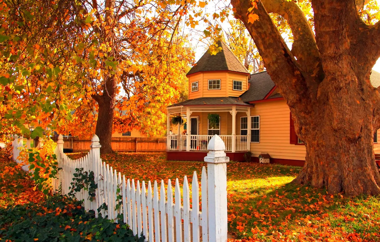 Photo wallpaper road, autumn, forest, grass, leaves, trees, nature, house