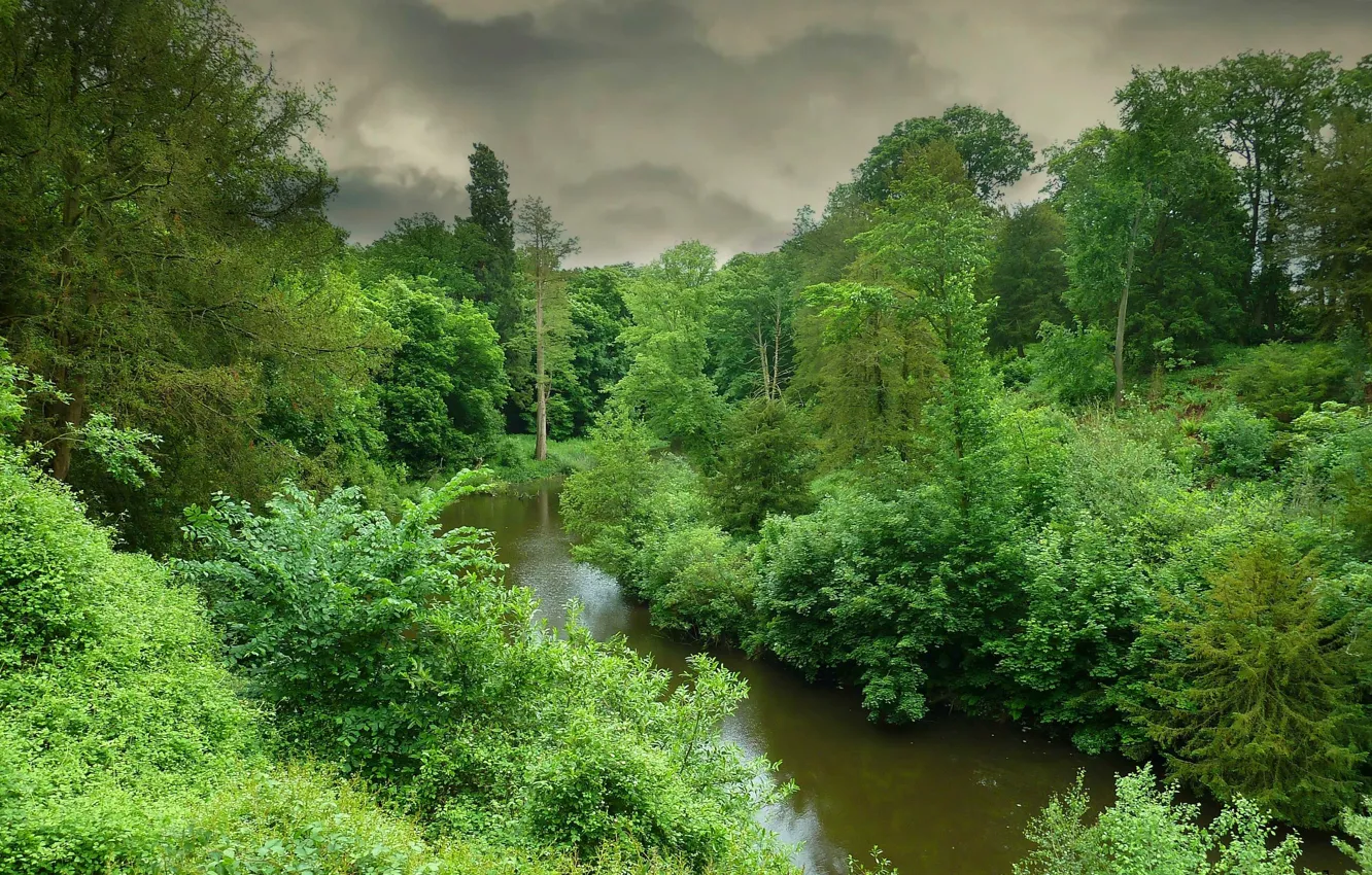 Photo wallpaper forest, the sky, trees, landscape, clouds, river