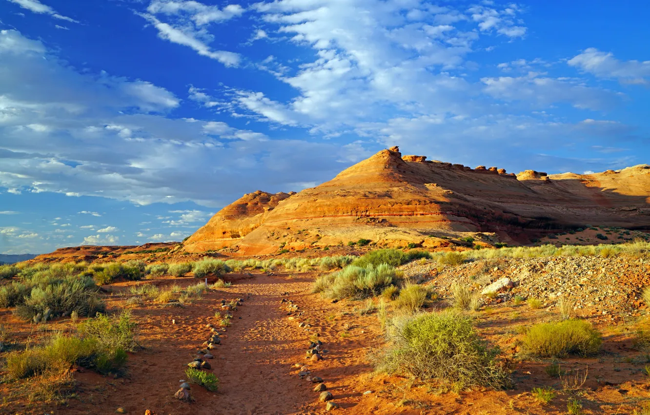 Photo wallpaper the sky, clouds, landscape