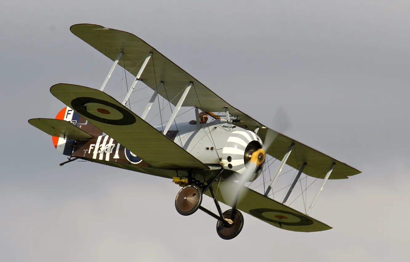 Photo wallpaper fighter, British, single, The first world war, times, replica, Sopwith 7F1 Snipe