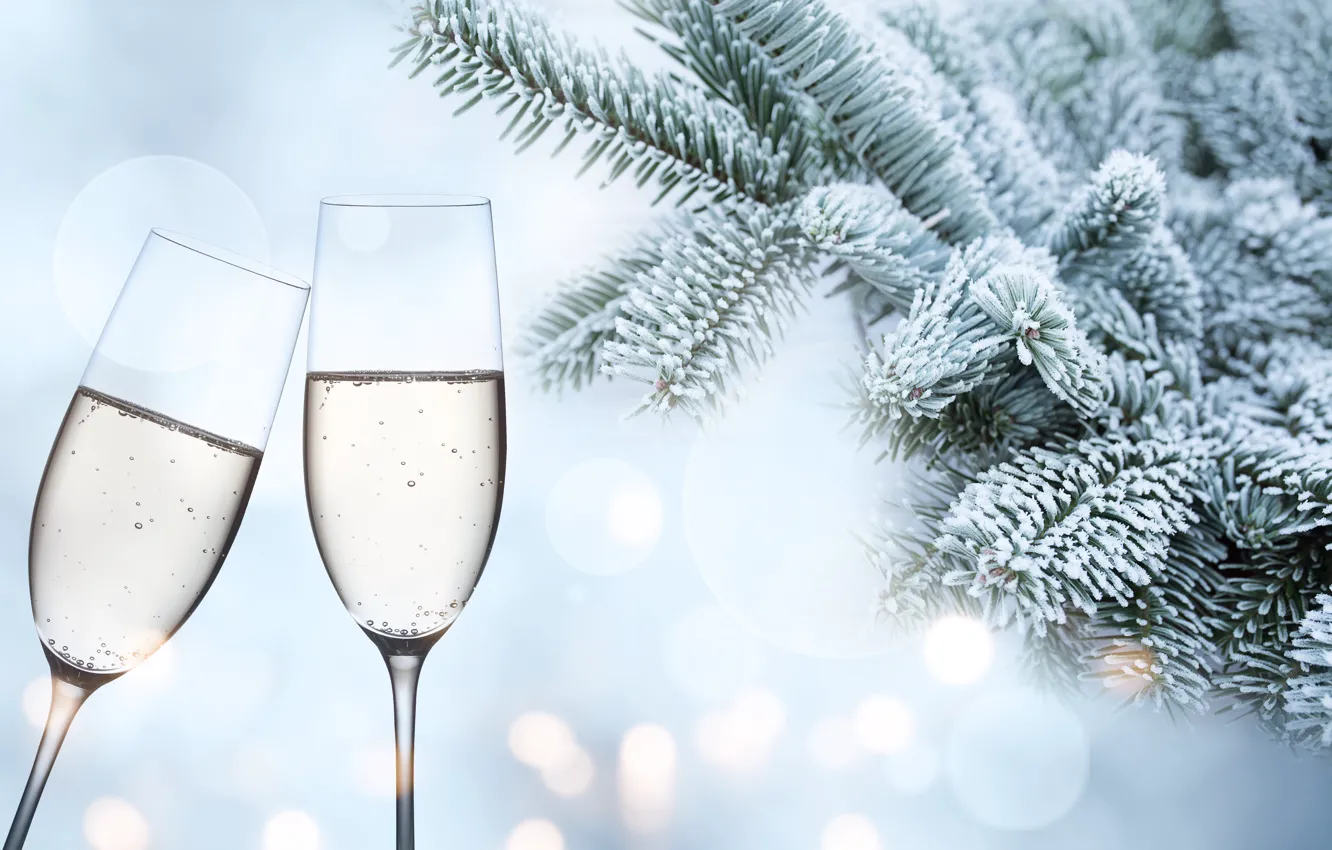 Photo wallpaper winter, snow, branches, glass, tree, new year, frost, champagne