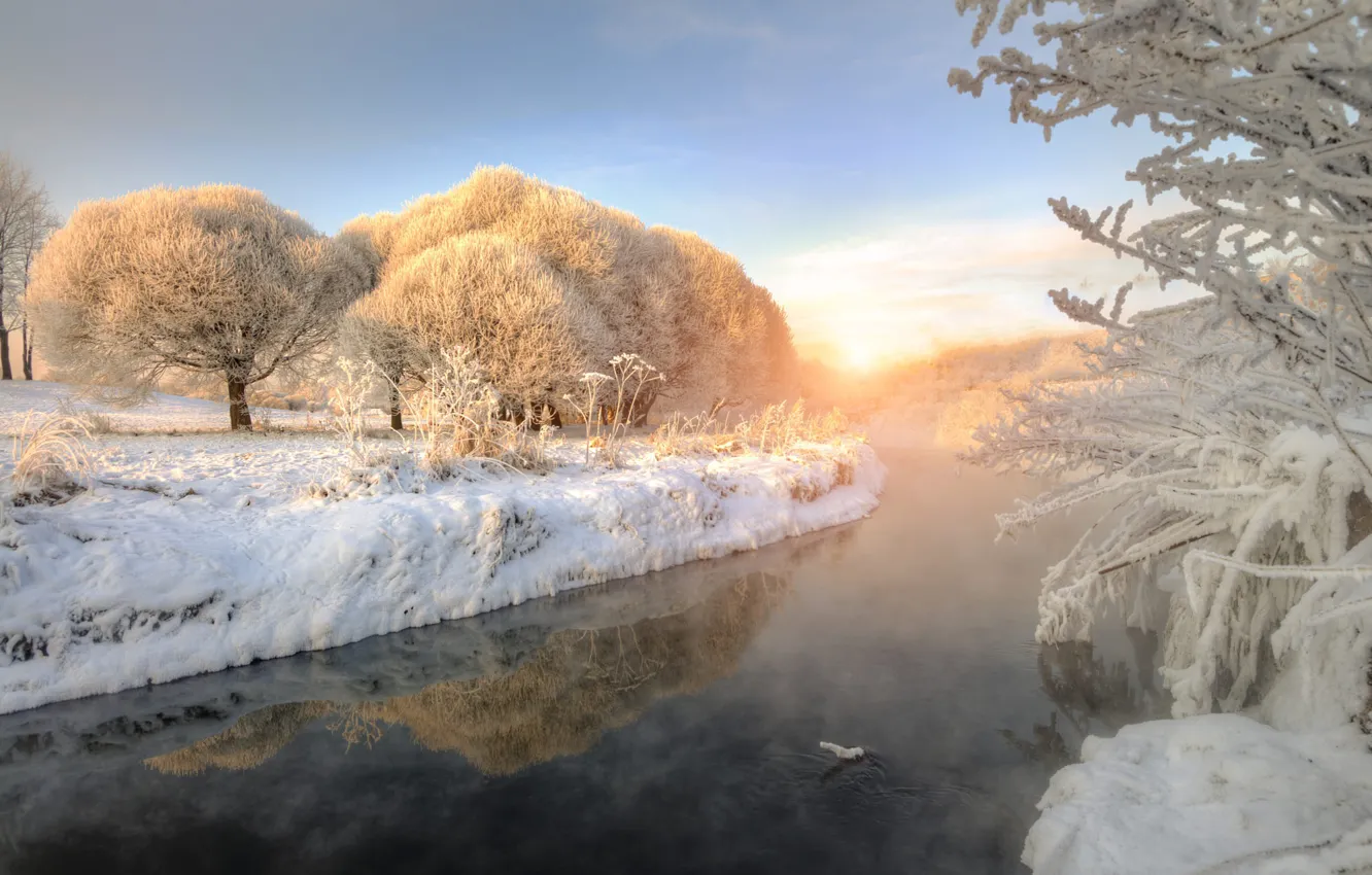 Photo wallpaper winter, forest, the sky, the sun, clouds, light, snow, trees