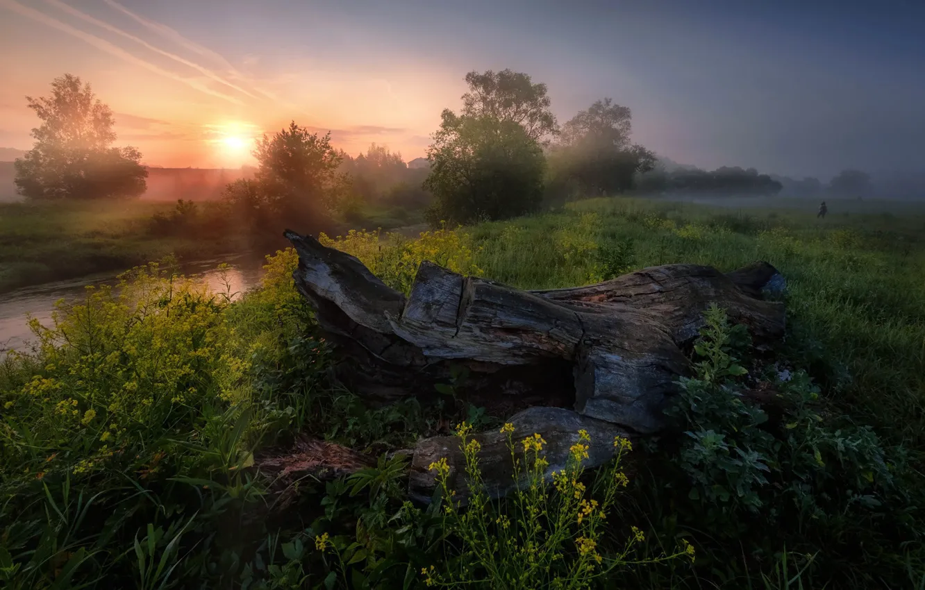 Photo wallpaper summer, the sun, rays, trees, sunset, nature, river, Russia