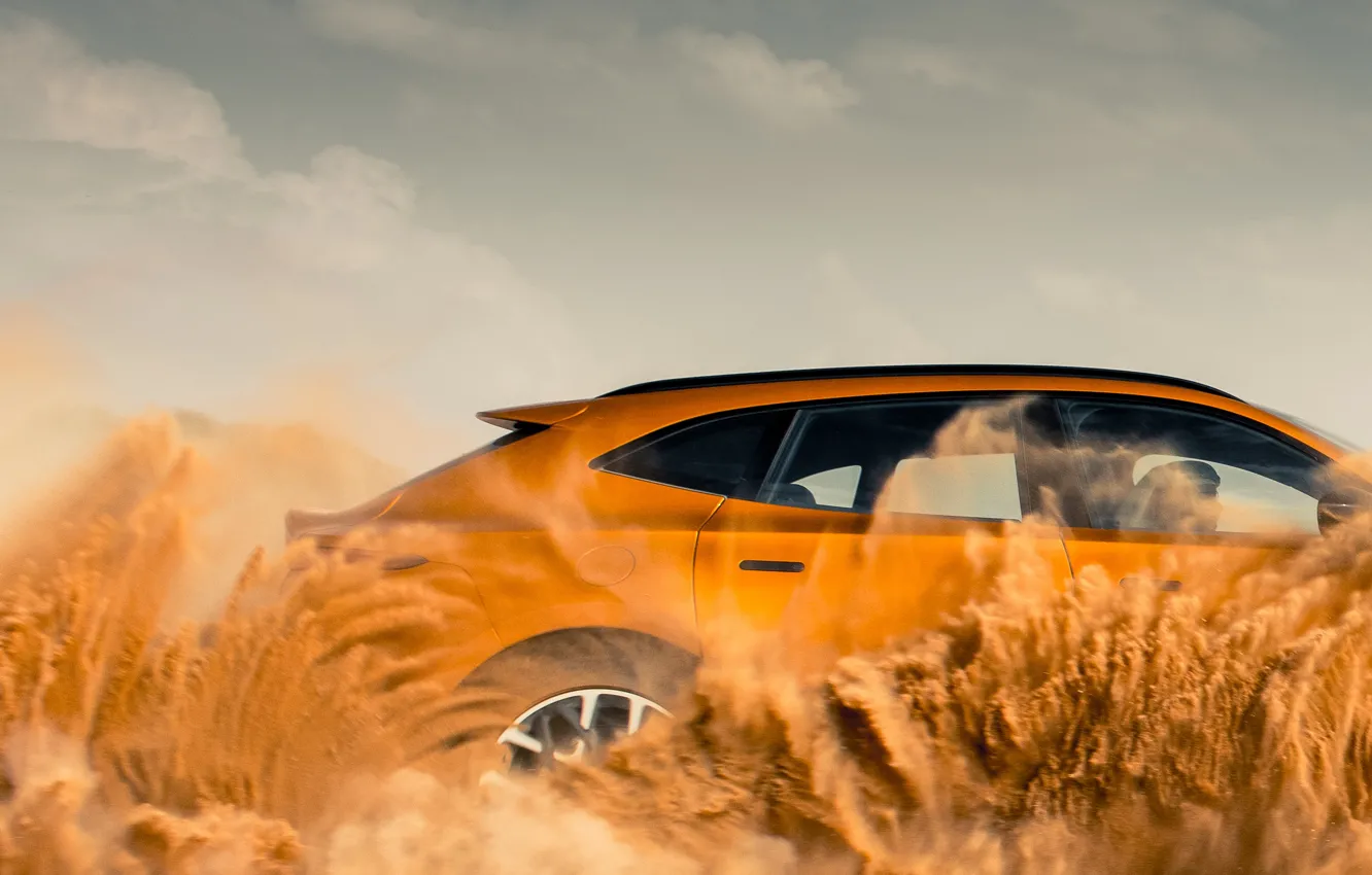 Photo wallpaper Aston Martin, DBX, Aston Martin DBX