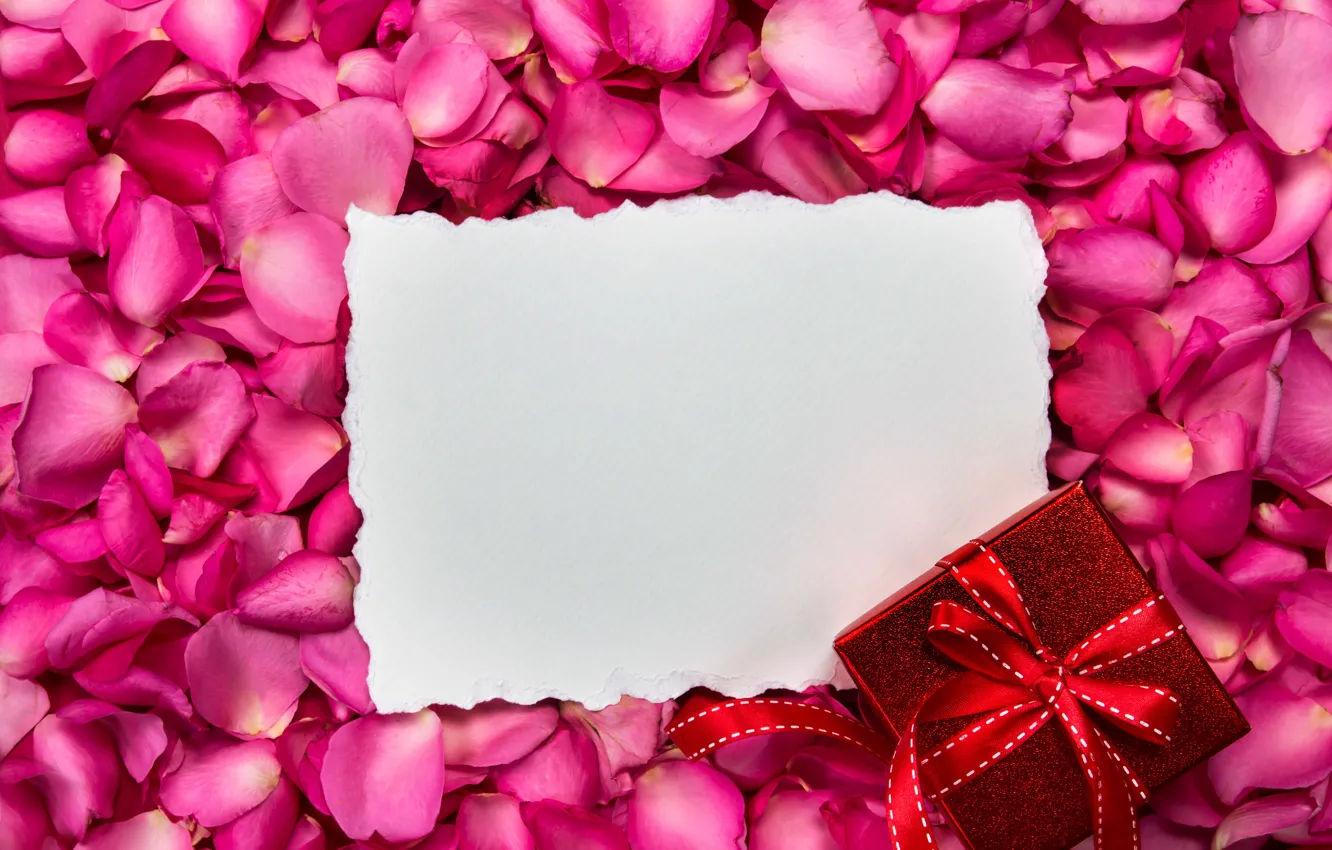 Photo wallpaper flowers, gift, roses, frame, petals, silk, pink, fresh