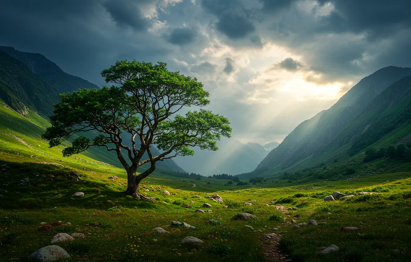 Photo wallpaper summer, trees, mountains, cloud.
