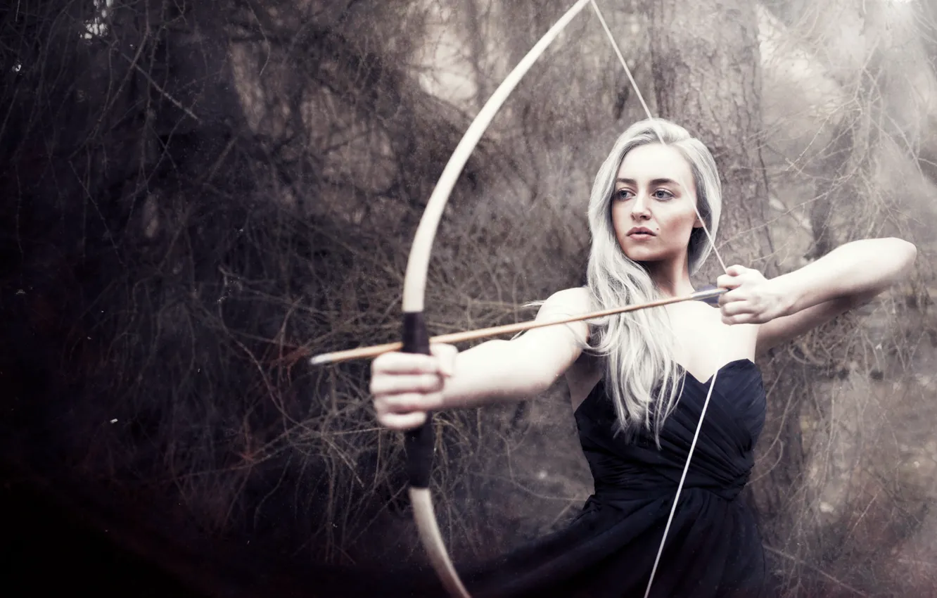 Photo wallpaper girl, bow, arrows