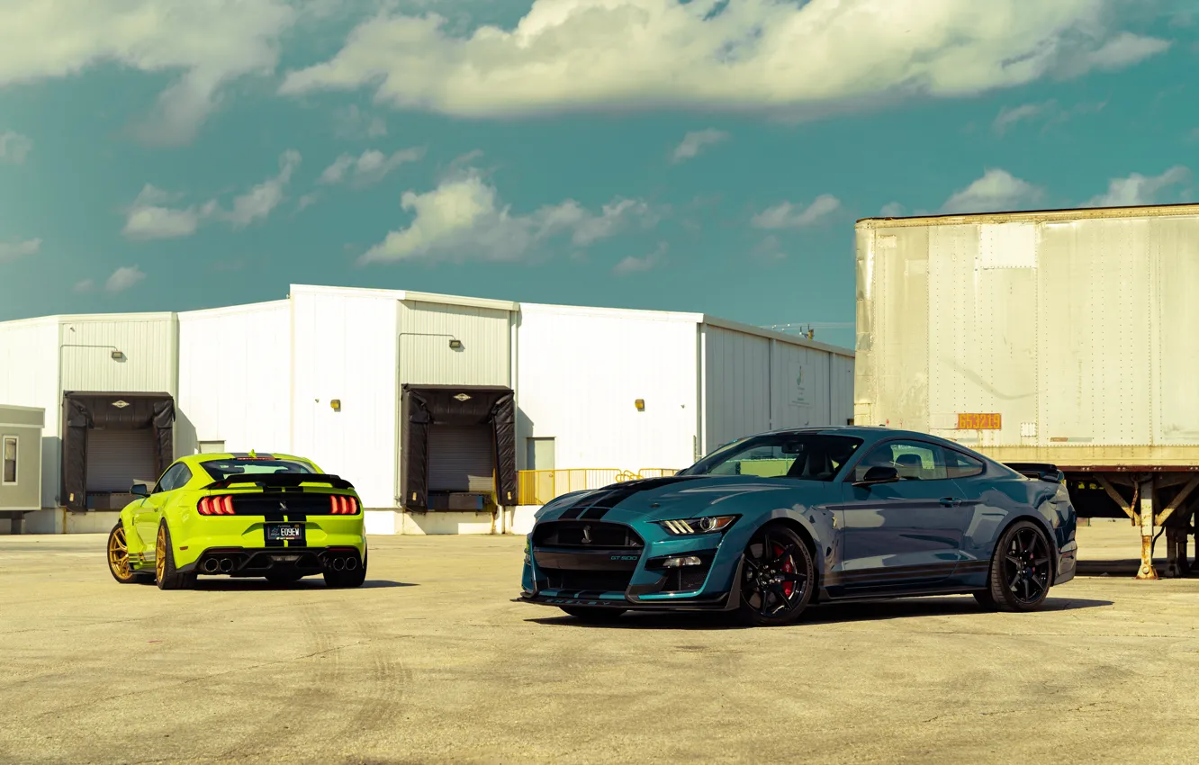 Photo wallpaper Ford, Shelby, GT500, Cars