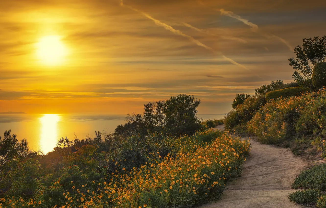 Photo wallpaper sea, sunset, shore