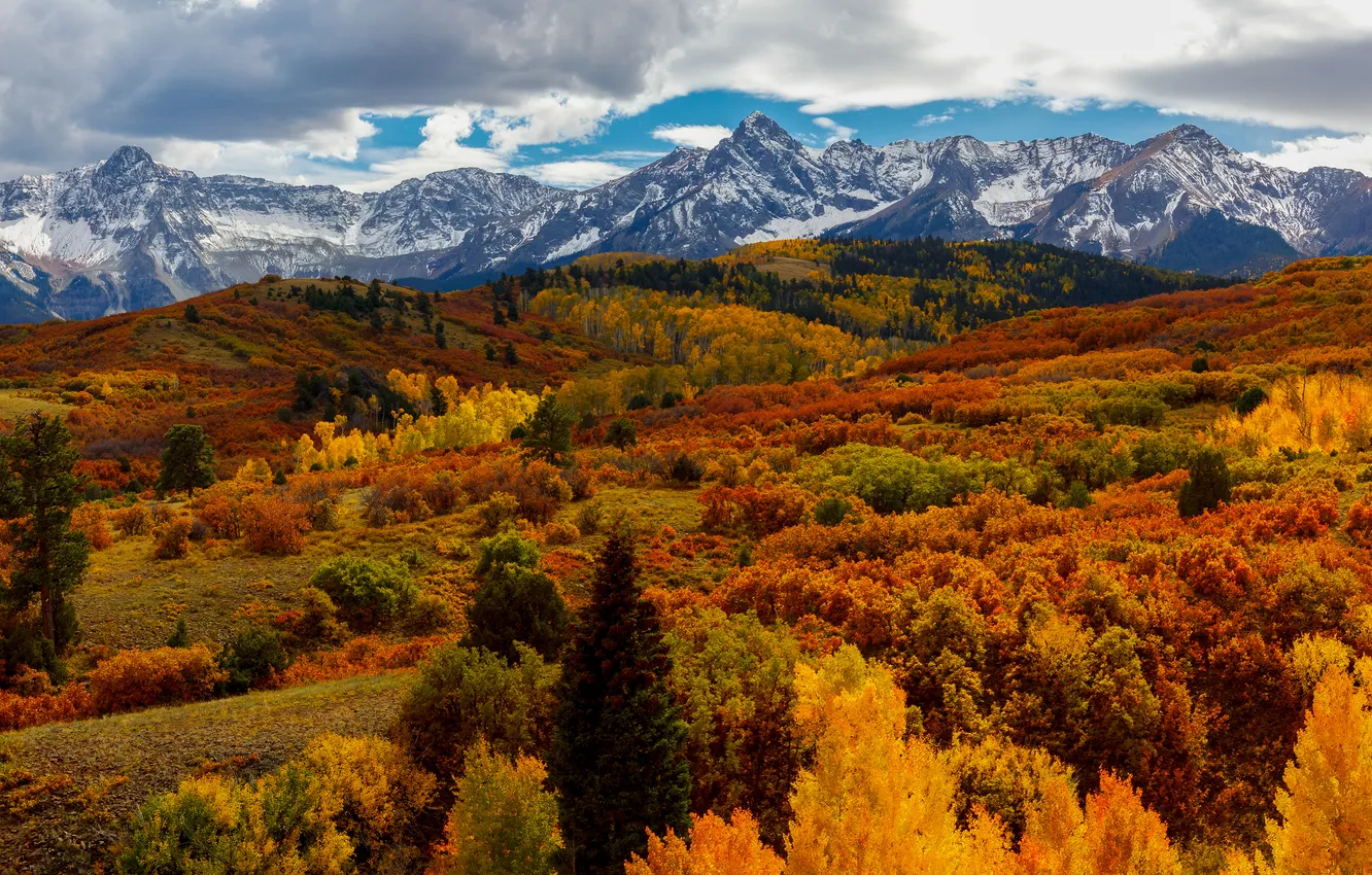 Photo wallpaper autumn, forest, the sky, clouds, snow, mountains, hills, tops