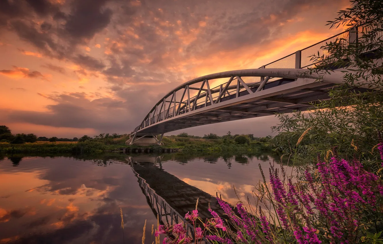 Photo wallpaper flowers, bridge, river