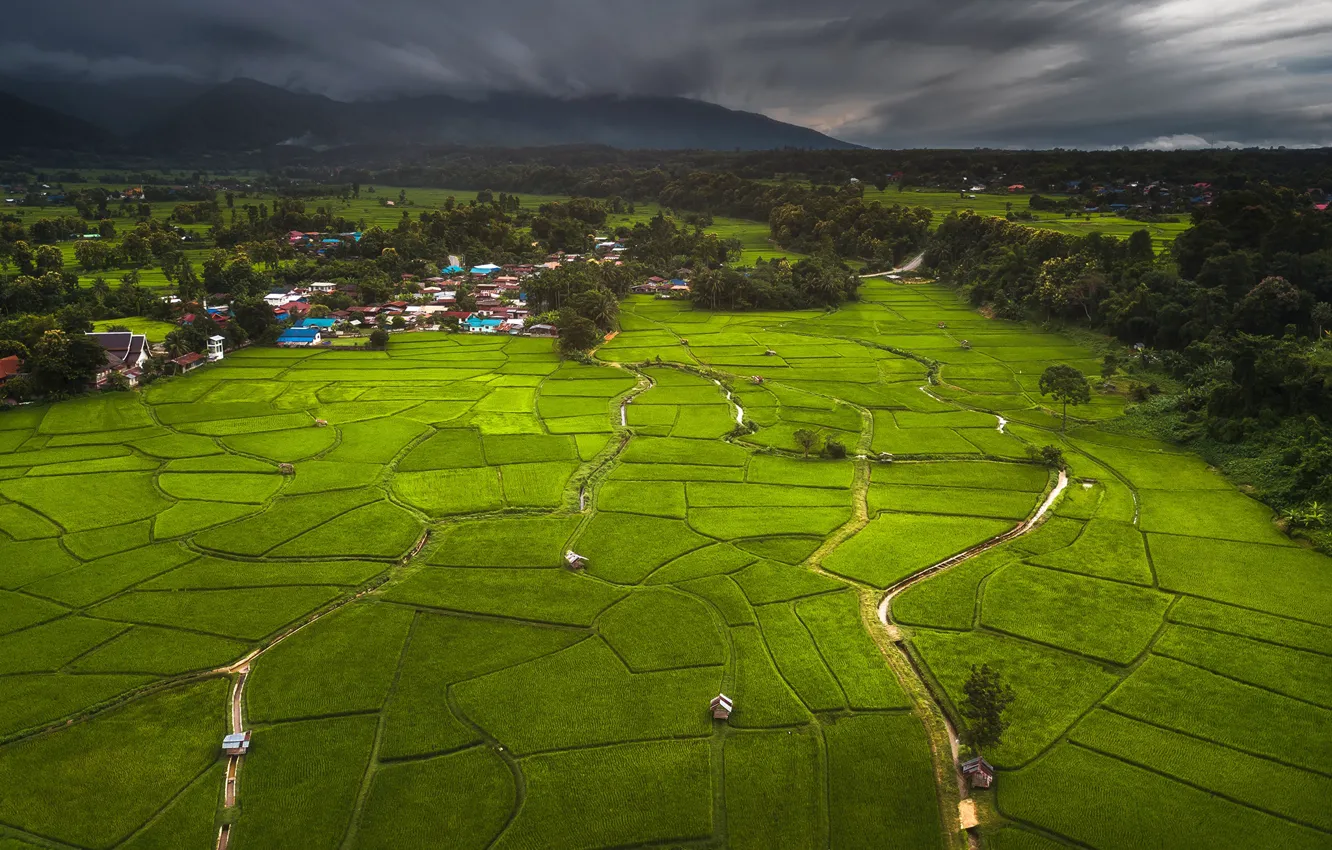 Photo wallpaper greens, field, trees, mountains, clouds, tropics, home, valley