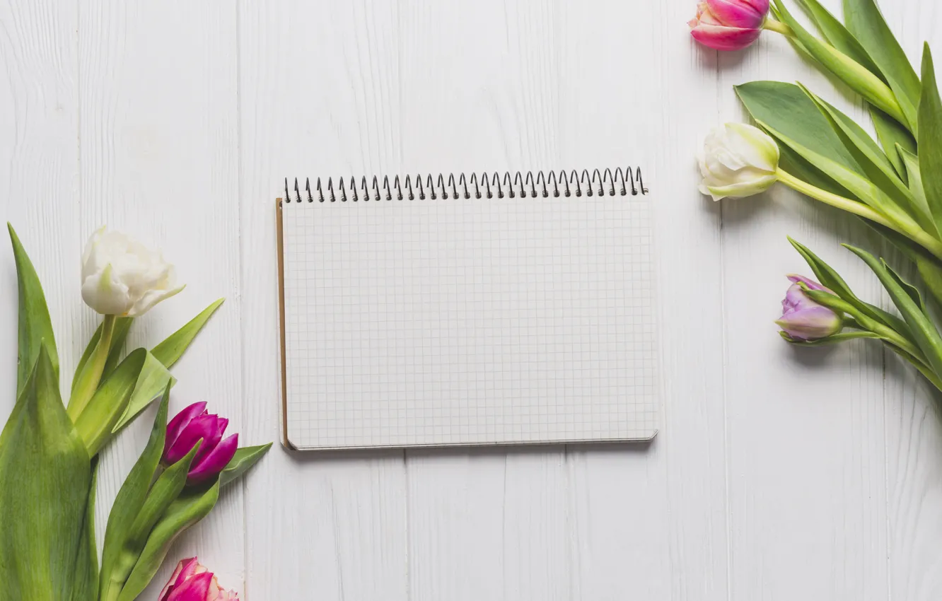 Photo wallpaper flowers, Board, spring, colorful, tulips, wood, pink, flowers