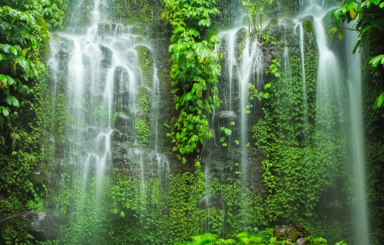 Photo wallpaper forest, leaves, stones, waterfall