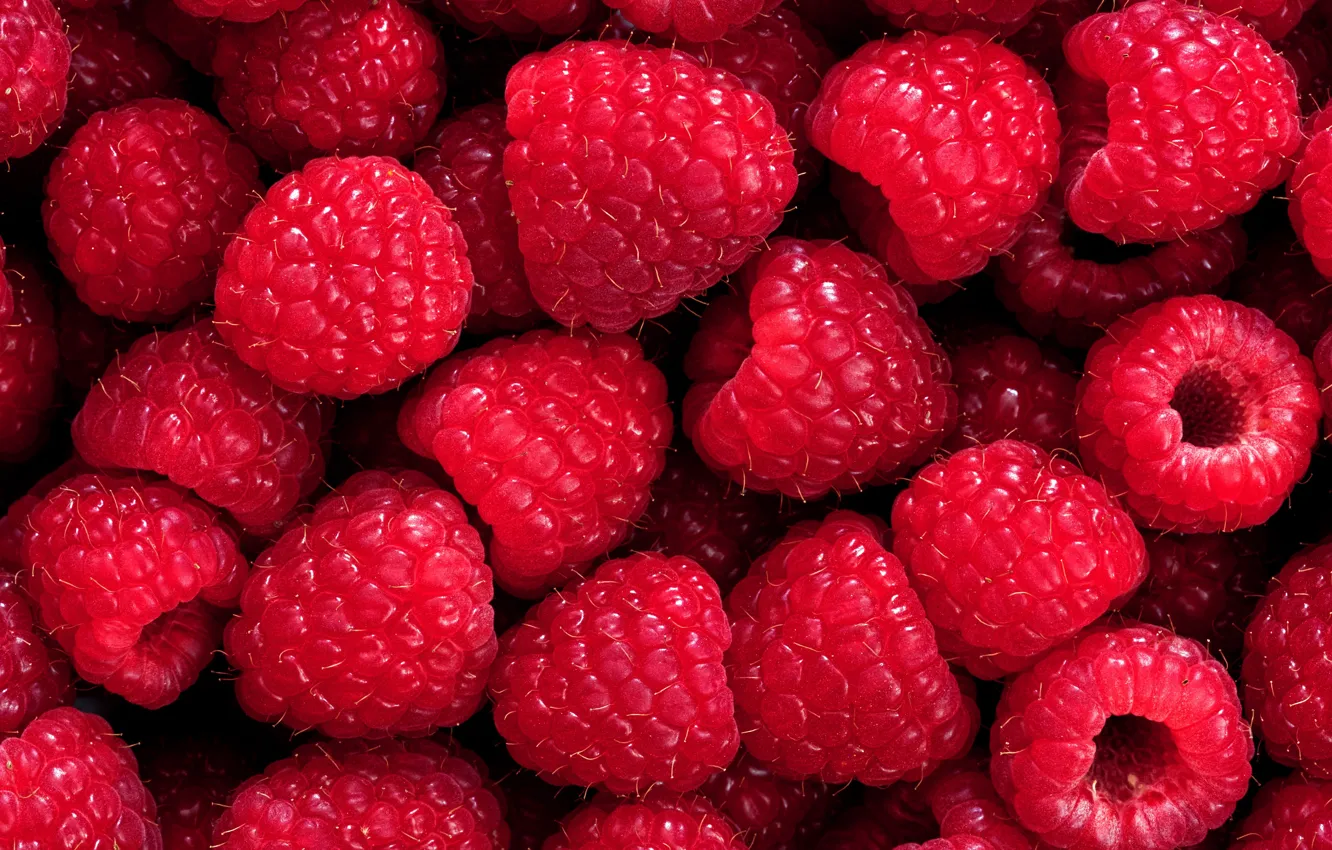 Photo wallpaper berries, raspberry, ripe, delicious