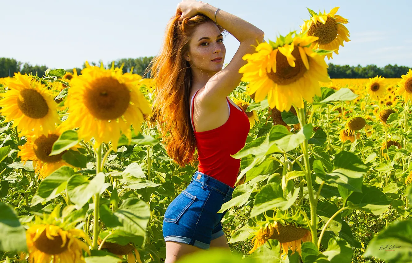 Photo wallpaper field, summer, look, girl, sunflowers, pose, mood, shorts