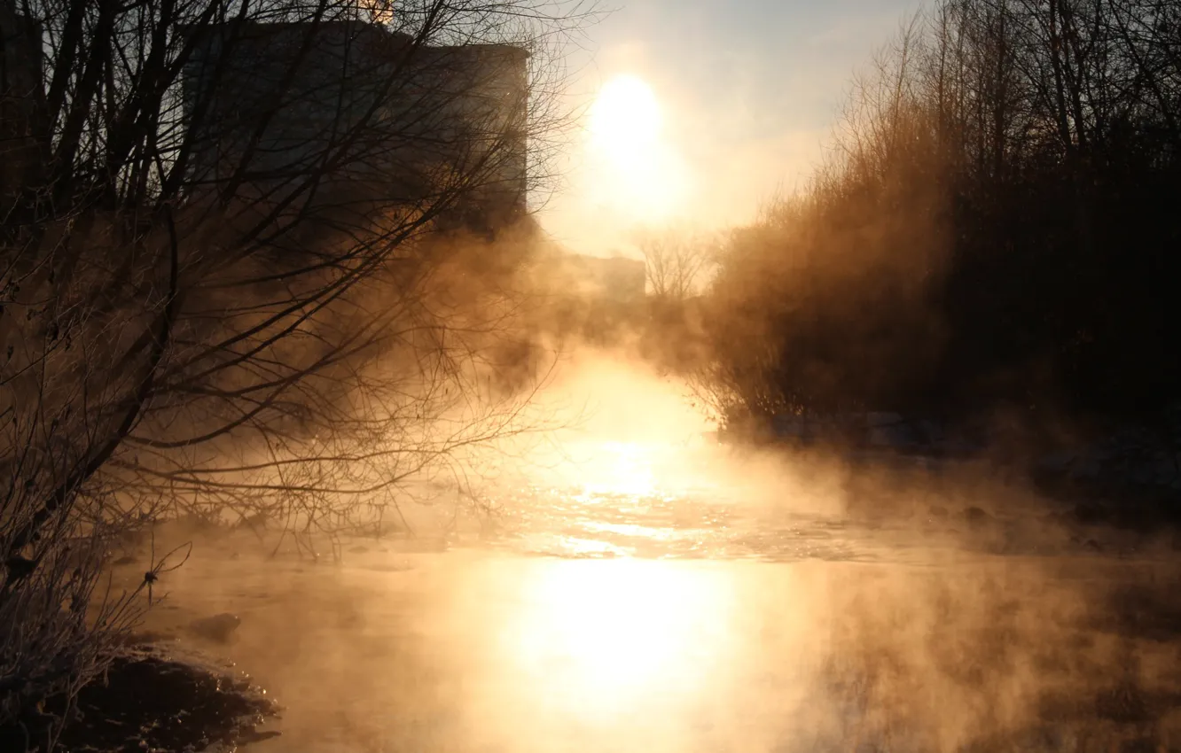 Photo wallpaper water, nature, morning, pair