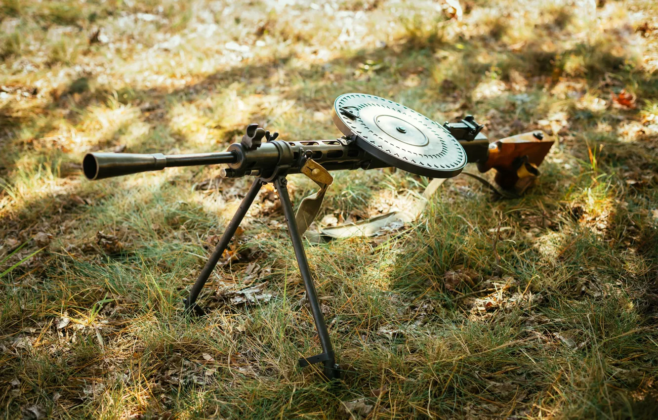 Photo wallpaper the sun, rays, light, glade, blur, shooting, USSR, camouflage