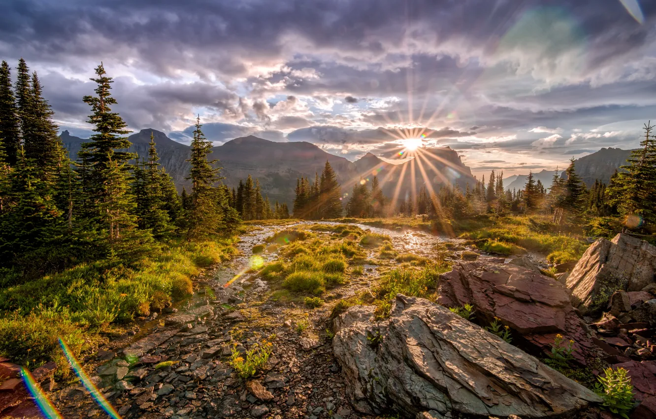 Photo wallpaper the sky, the sun, clouds, rays, trees, mountains, glare, stones
