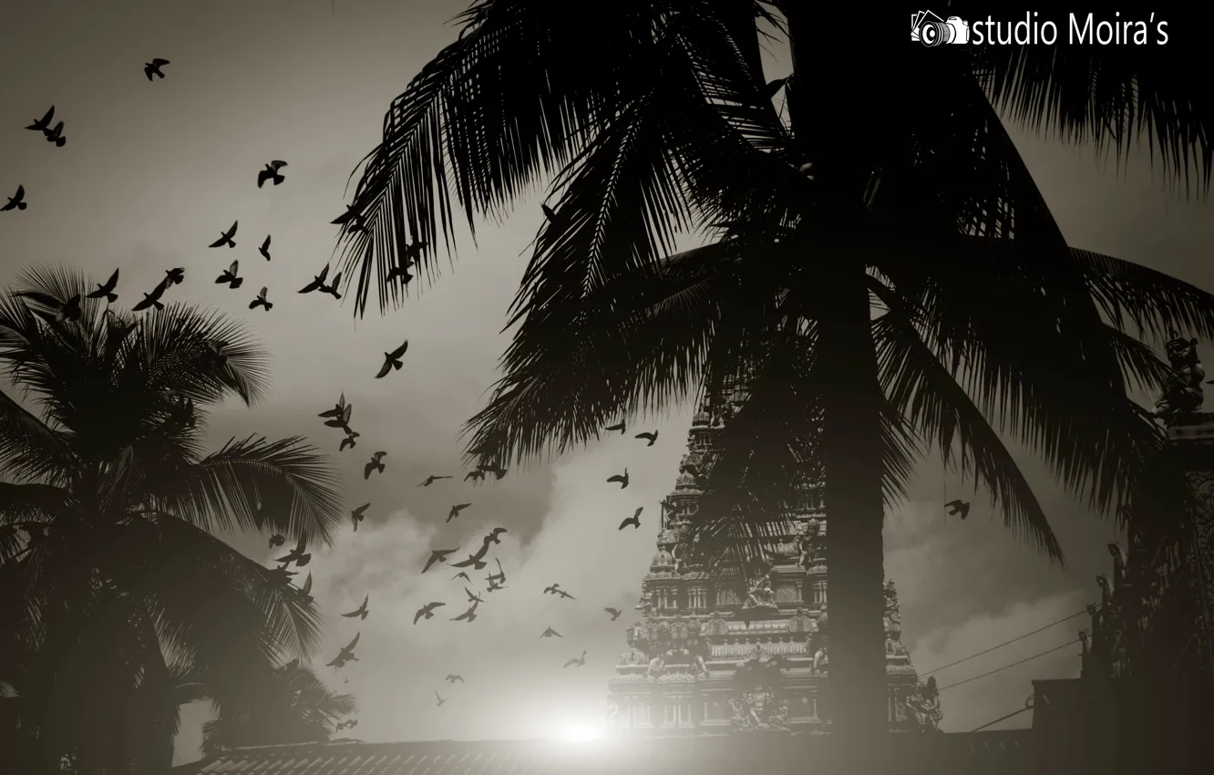 Photo wallpaper nature, temple, Sri Lanka, thanu, thanujan, thanujan thanabalasingam, thanujan13, Thanujan_t