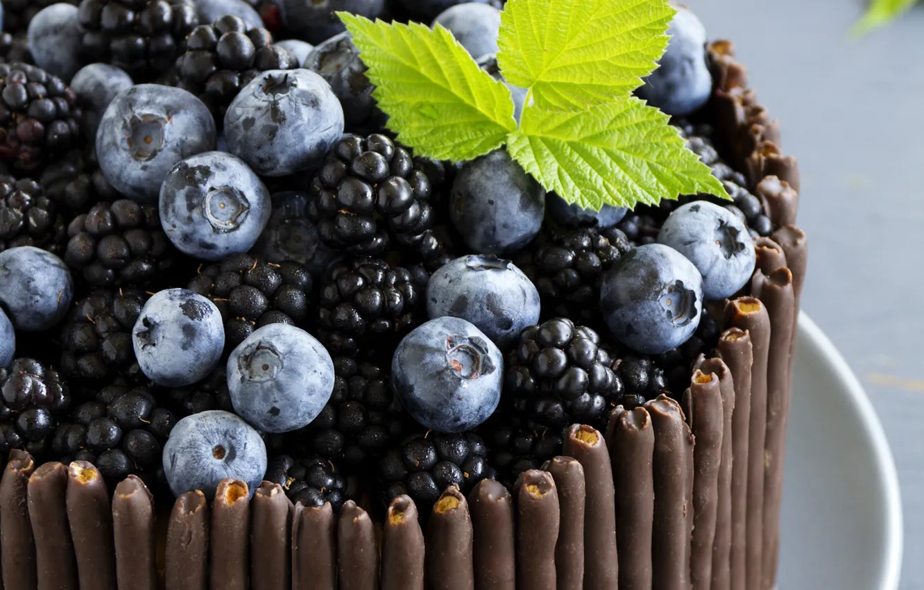 Photo wallpaper macro, sheet, berries, chocolate, blueberries, cake, BlackBerry