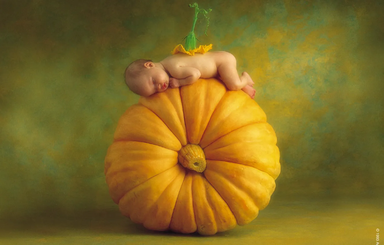 Photo wallpaper children, pumpkin, Helloween