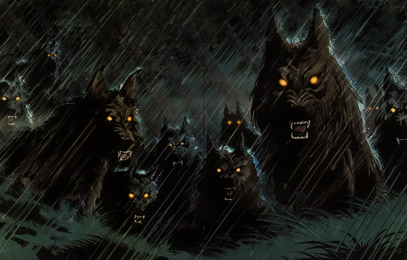 Photo wallpaper rain, wolf, pack, rage