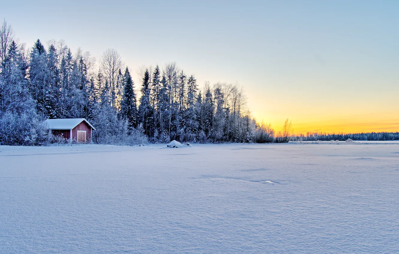 Photo wallpaper winter, forest, house, winter