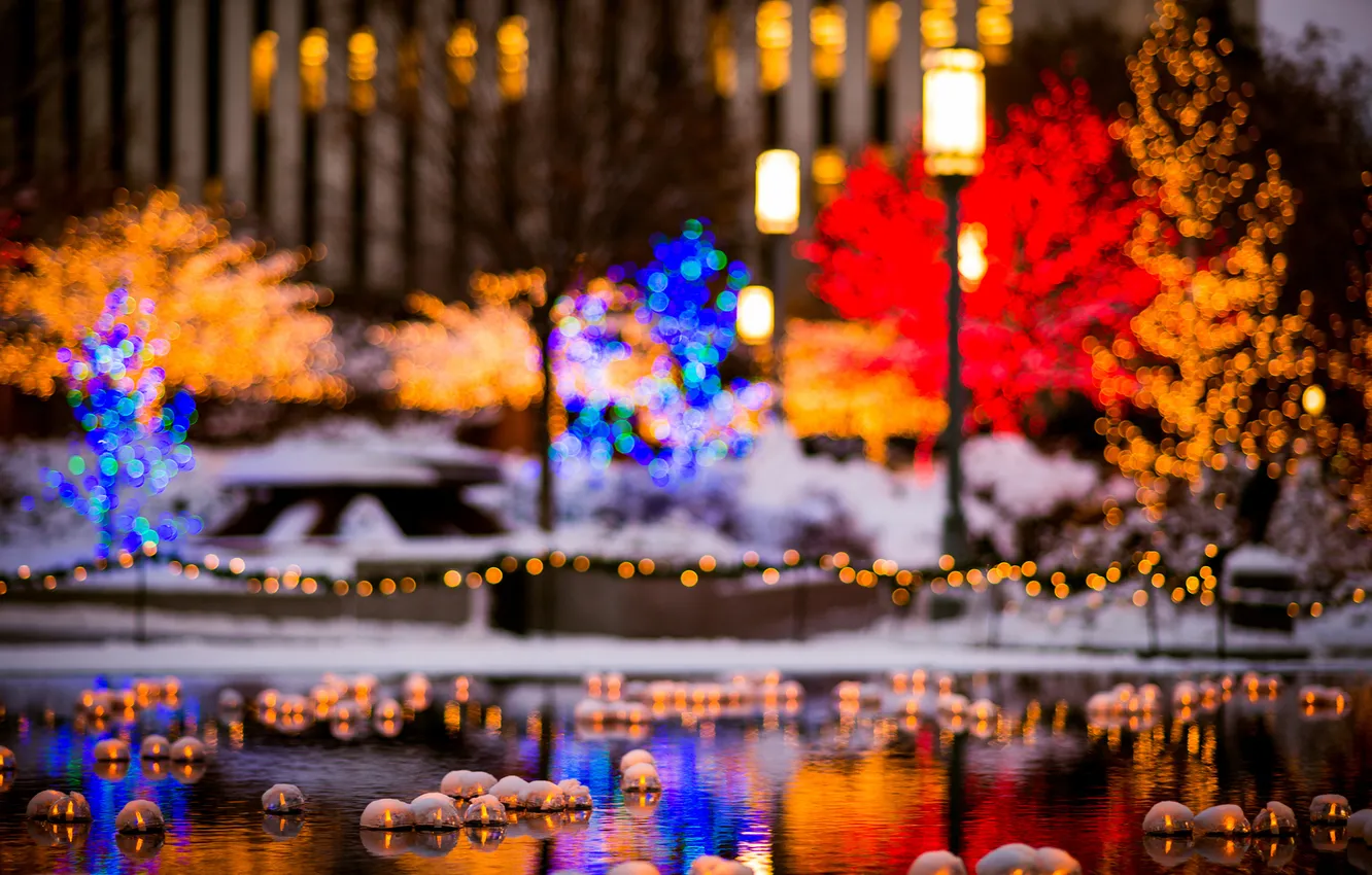 Photo wallpaper winter, snow, trees, the city, lights, pond, holiday, building