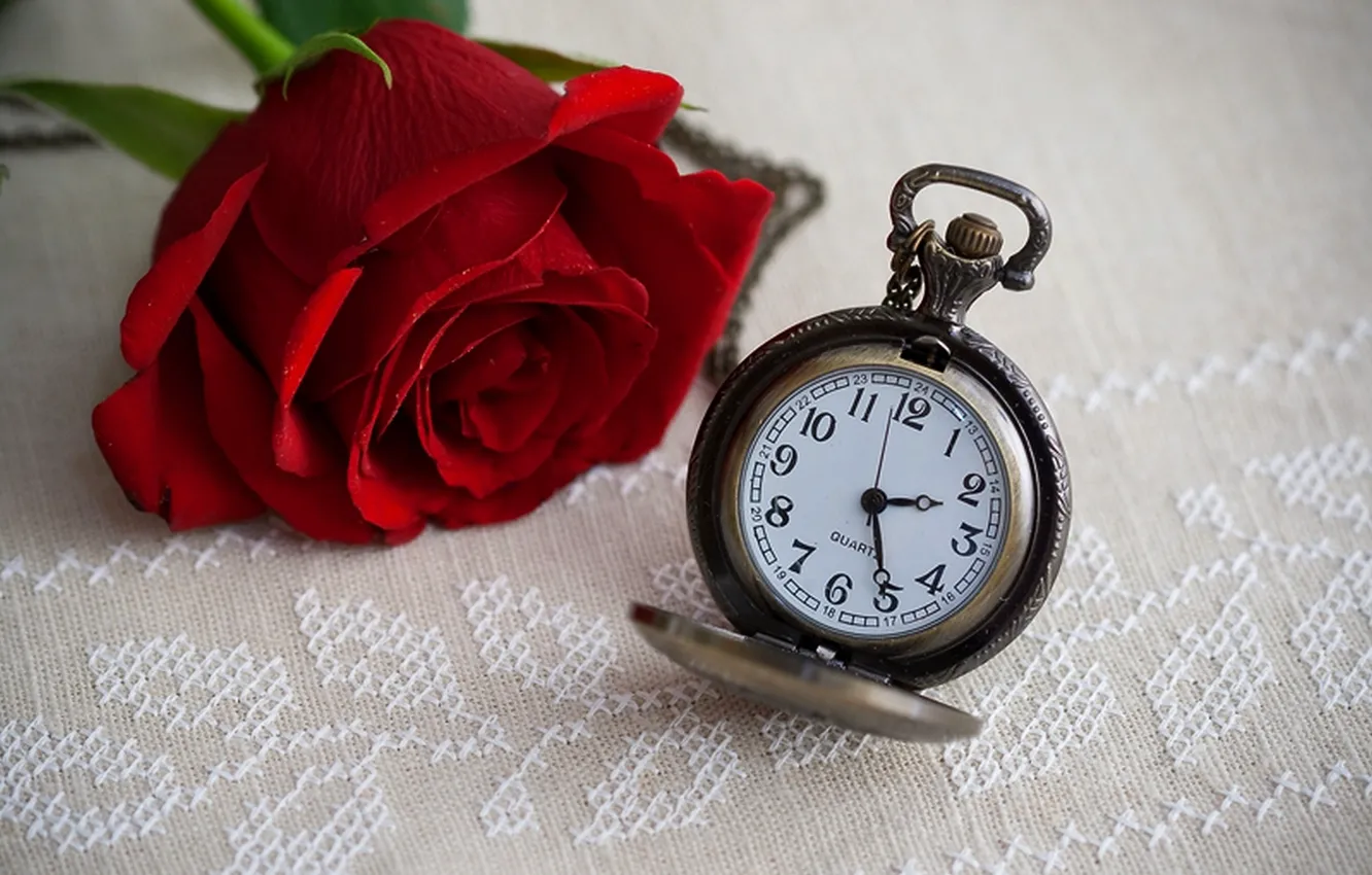 Photo wallpaper flower, time, watch, rose, rose, dial, flower, time