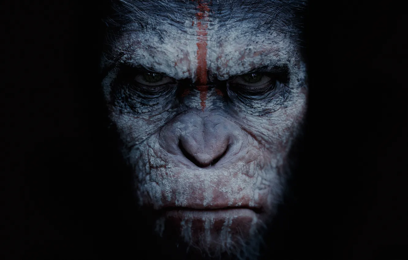 Photo wallpaper cinema, movie, film, angry, Dawn of the Planet of the Apes, Cesar